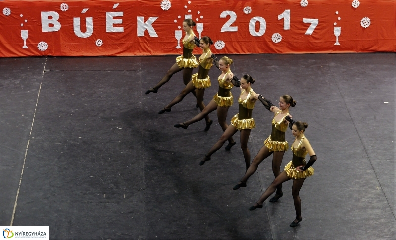 Újévi koncert 2017