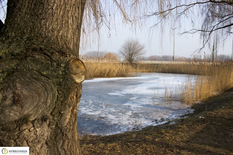 A nagy hideg előtt a Bujtoson - fotó Szarka Lajos