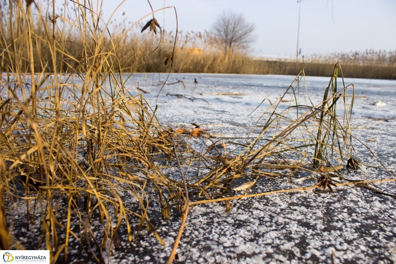 A nagy hideg előtt a Bujtoson - fotó Szarka Lajos