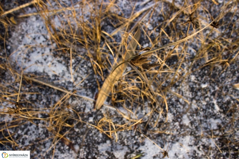 A nagy hideg előtt a Bujtoson - fotó Szarka Lajos