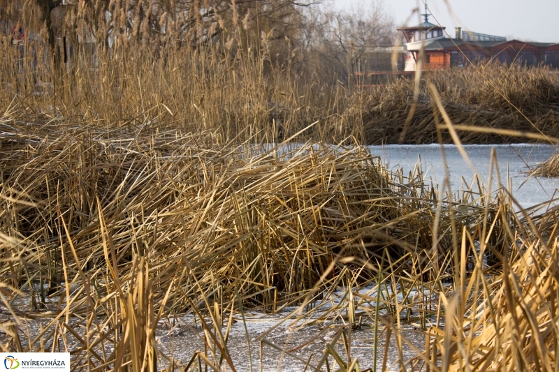 A nagy hideg előtt a Bujtoson - fotó Szarka Lajos