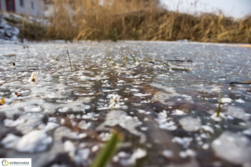 A nagy hideg előtt a Bujtoson - fotó Szarka Lajos