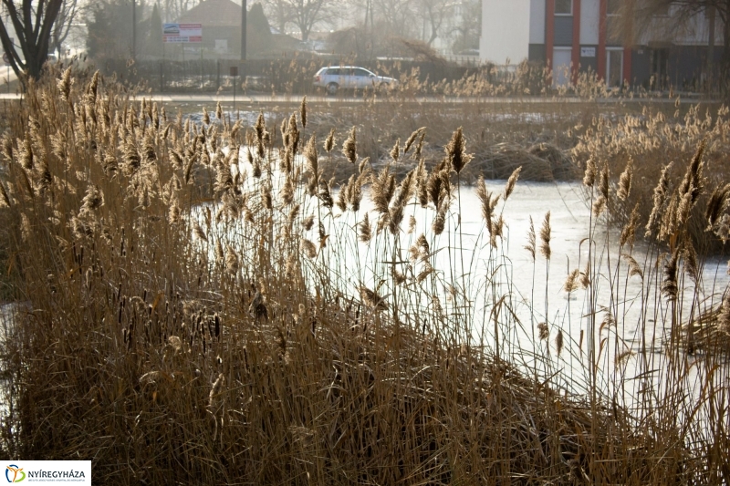 A nagy hideg előtt a Bujtoson - fotó Szarka Lajos