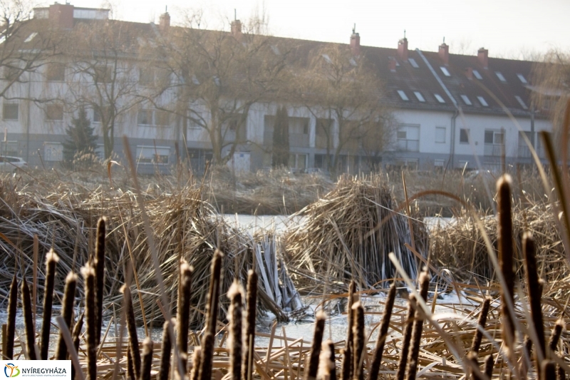 A nagy hideg előtt a Bujtoson - fotó Szarka Lajos