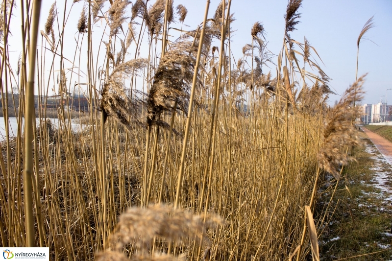 A nagy hideg előtt a Bujtoson - fotó Szarka Lajos
