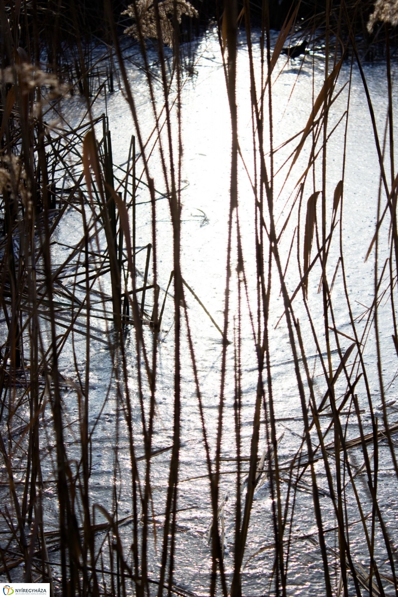 A nagy hideg előtt a Bujtoson - fotó Szarka Lajos