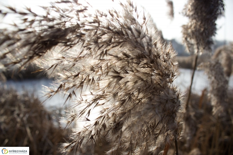A nagy hideg előtt a Bujtoson - fotó Szarka Lajos