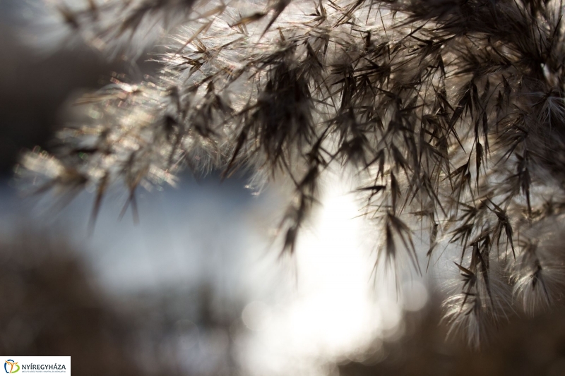 A nagy hideg előtt a Bujtoson - fotó Szarka Lajos