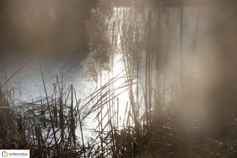 A nagy hideg előtt a Bujtoson - fotó Szarka Lajos