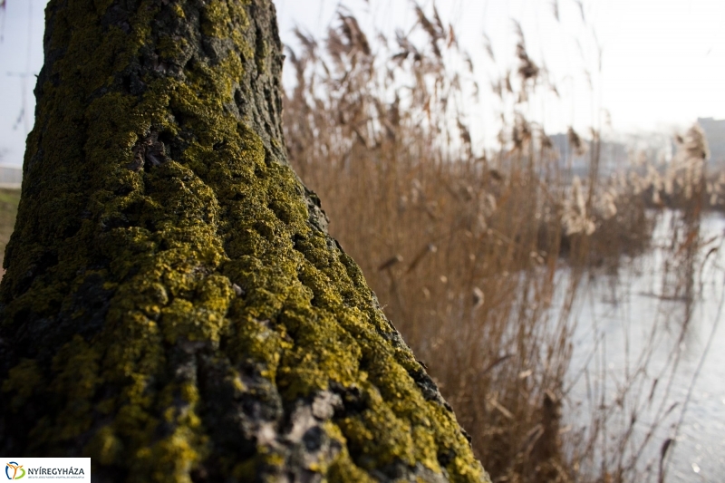 A nagy hideg előtt a Bujtoson - fotó Szarka Lajos
