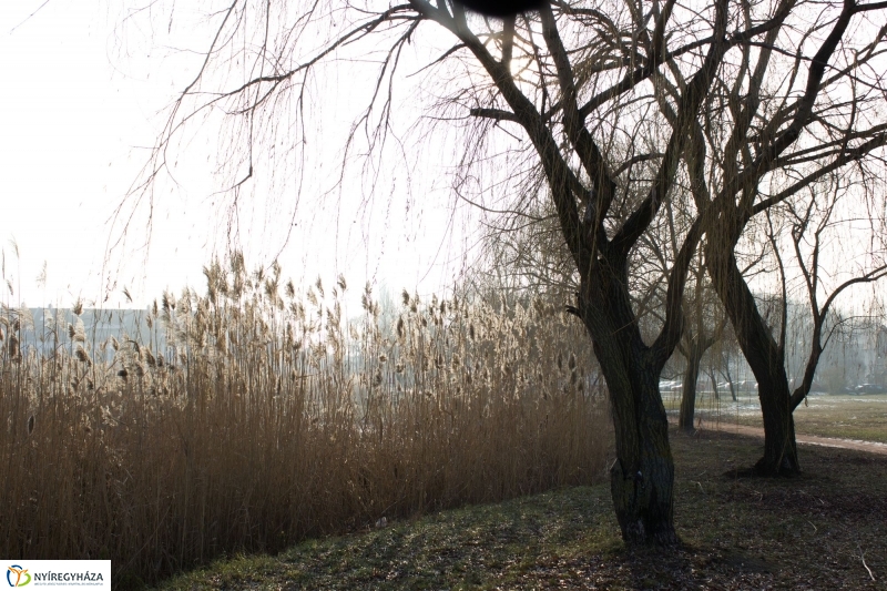 A nagy hideg előtt a Bujtoson - fotó Szarka Lajos