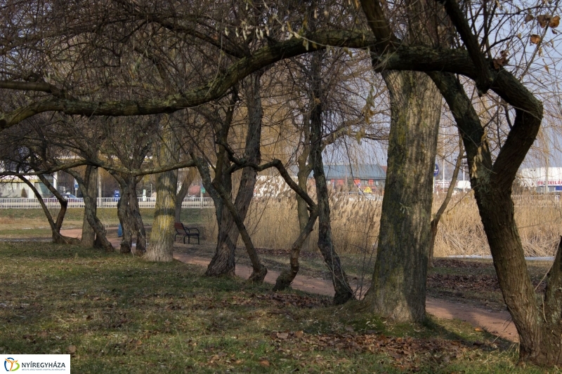 A nagy hideg előtt a Bujtoson - fotó Szarka Lajos