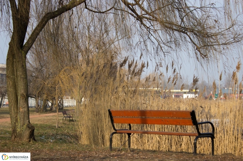 A nagy hideg előtt a Bujtoson - fotó Szarka Lajos