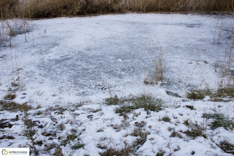 A nagy hideg előtt a Bujtoson - fotó Szarka Lajos