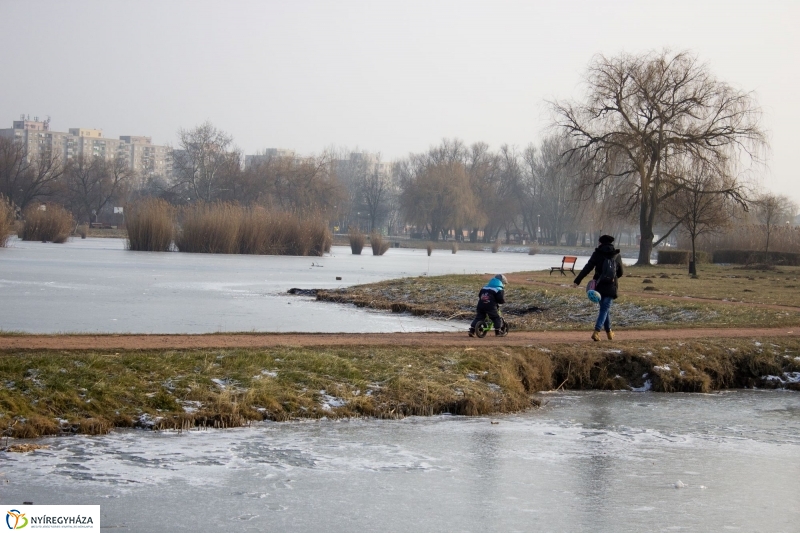 A nagy hideg előtt a Bujtoson - fotó Szarka Lajos