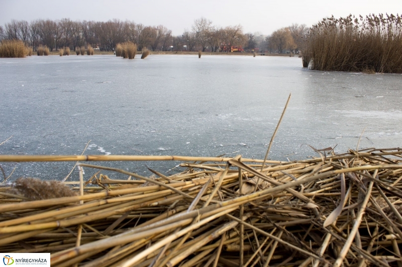 A nagy hideg előtt a Bujtoson - fotó Szarka Lajos