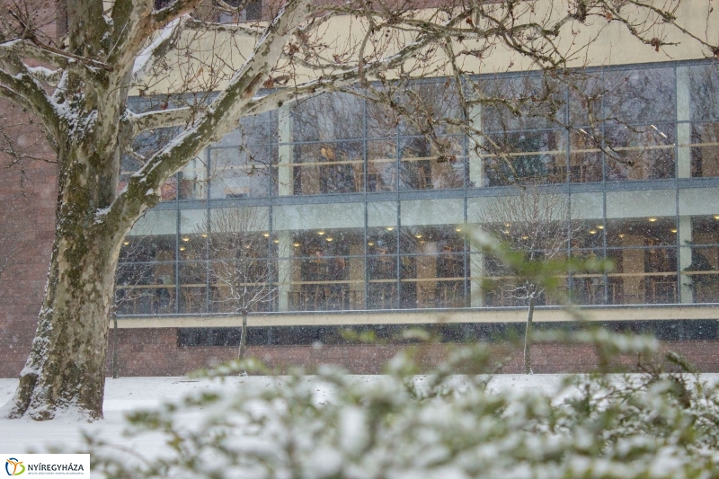 Újra havazunk - fotó Szarka Lajos