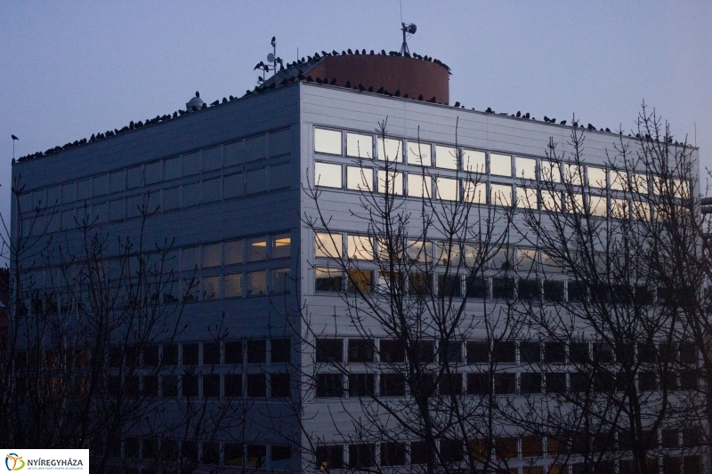 Szárnyra kapott a fekete sereg - Fotó Szarka Lajos