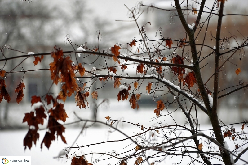 Hólepel alatt Sóstó