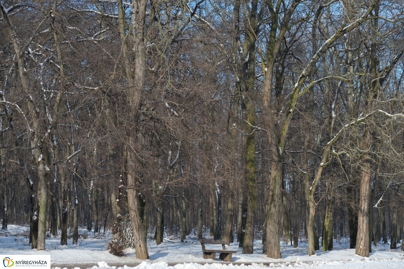 Nyíregyházi Egyetem sajtótájékoztatója - fotó Szarka Lajos