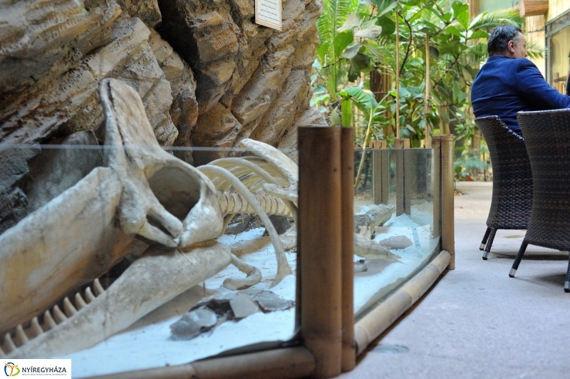 Évértékelő az Állatparkban - fotó Szarka Lajos