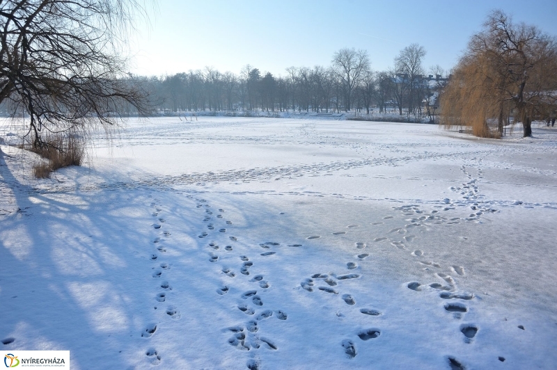 Jeges Sóstó - fotó Szarka Lajos