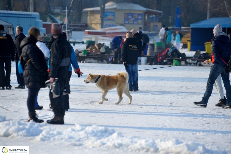 Korcsolyák  a Tófürdőn - fotó Szarka Lajos
