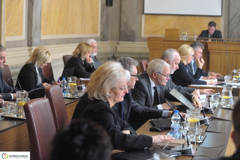 Városi Közgyűlés 20170126 - fotó Szarka Lajos