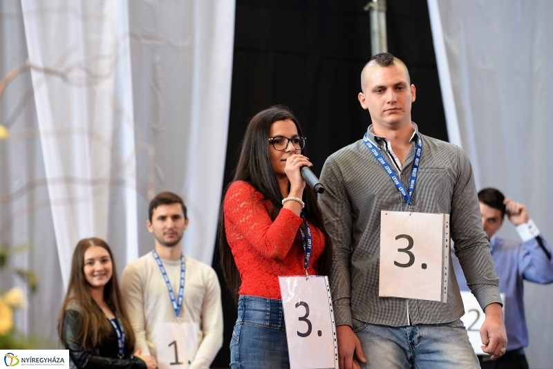 Álompár vetélkedő a Continental Arénában