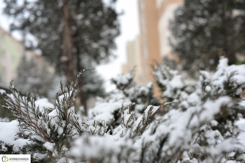 És újra hó - fotó Szarka Lajos