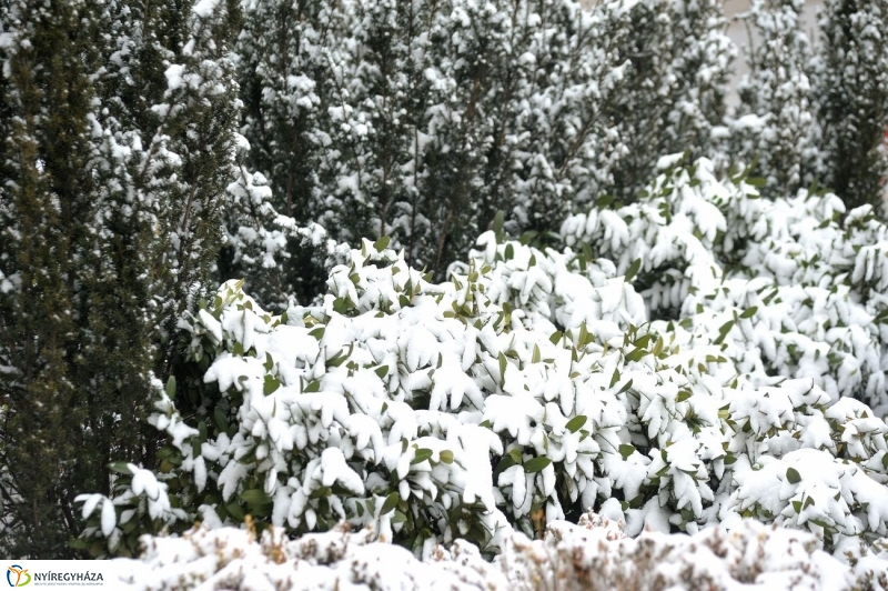 És újra hó - fotó Szarka Lajos