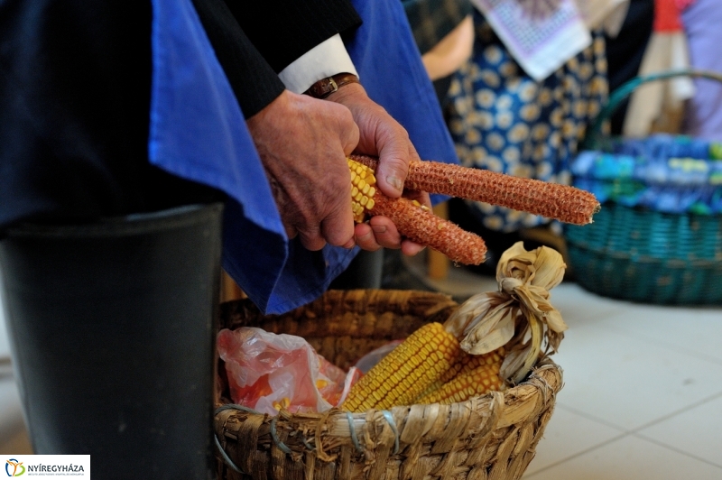 Farsangolás a múzeumfaluban - fotó Szarka Lajos