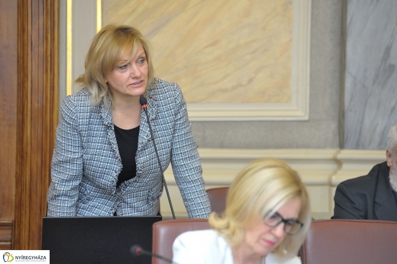 Városi Közgyűlés 20170223 - fotó Szarka Lajos