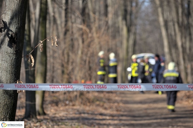 Fakivágási gyakorlat a Sóstói erdőben - fotó Szarka Lajos