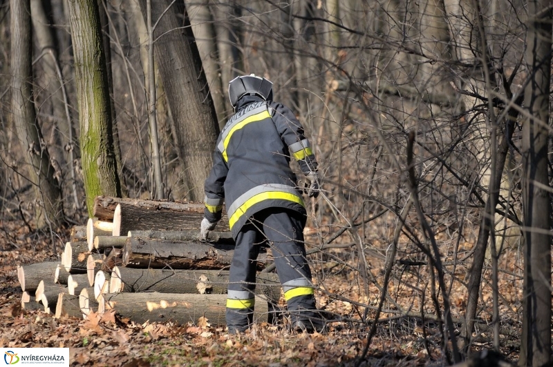 Fakivágási gyakorlat a Sóstói erdőben - fotó Szarka Lajos