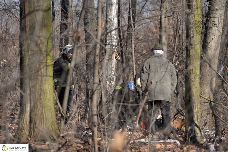 Fakivágási gyakorlat a Sóstói erdőben - fotó Szarka Lajos
