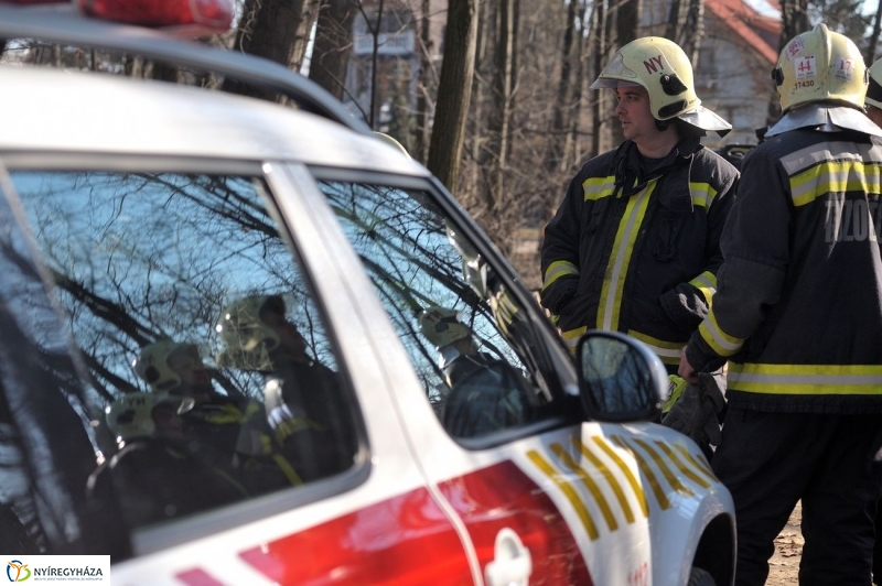 Fakivágási gyakorlat a Sóstói erdőben - fotó Szarka Lajos