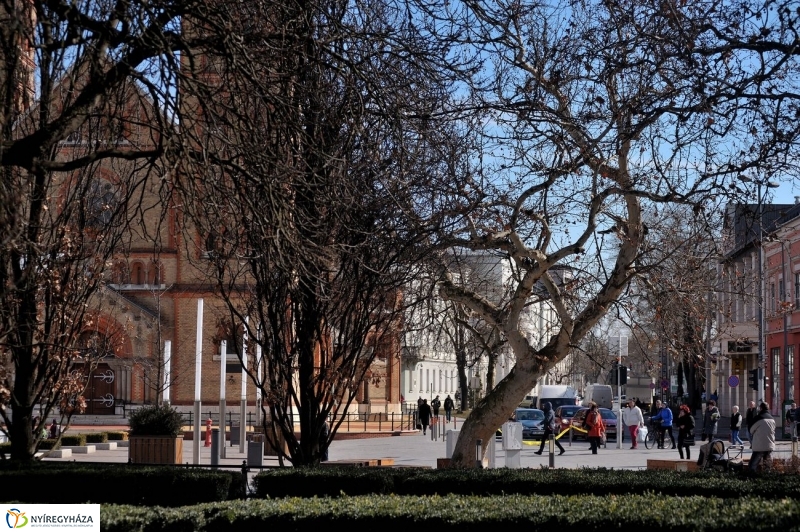 Tavasz kezdet - fotó Szarka Lajos