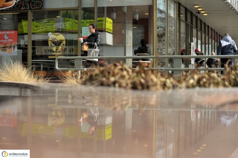 Tavasz kezdet - fotó Szarka Lajos