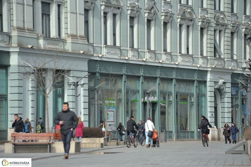 Tavasz kezdet - fotó Szarka Lajos