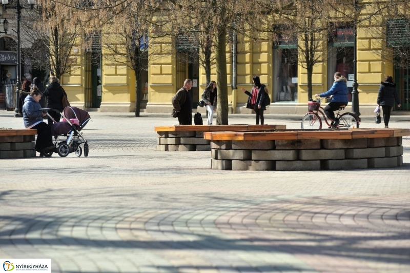 Tavasz kezdet - fotó Szarka Lajos