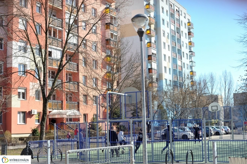 Tavasz kezdet - fotó Szarka Lajos