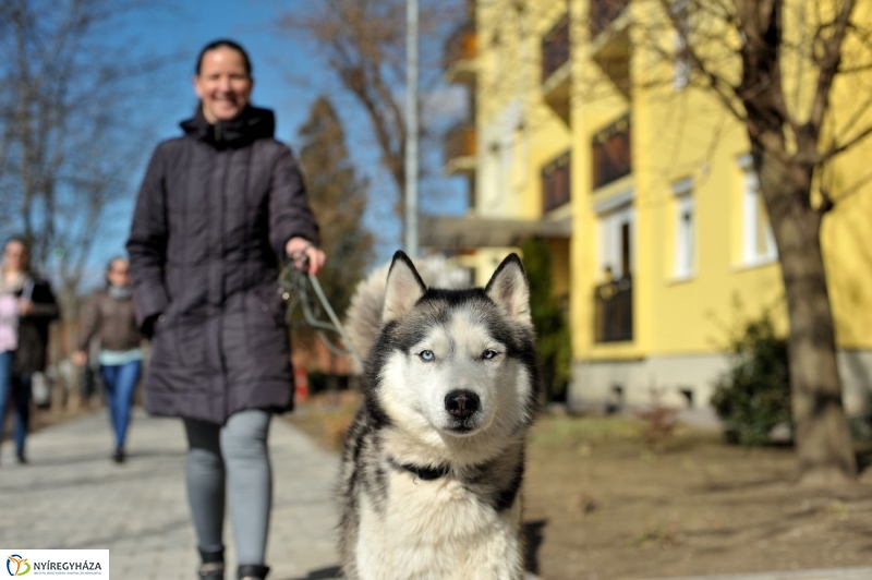 Tavasz kezdet - fotó Szarka Lajos