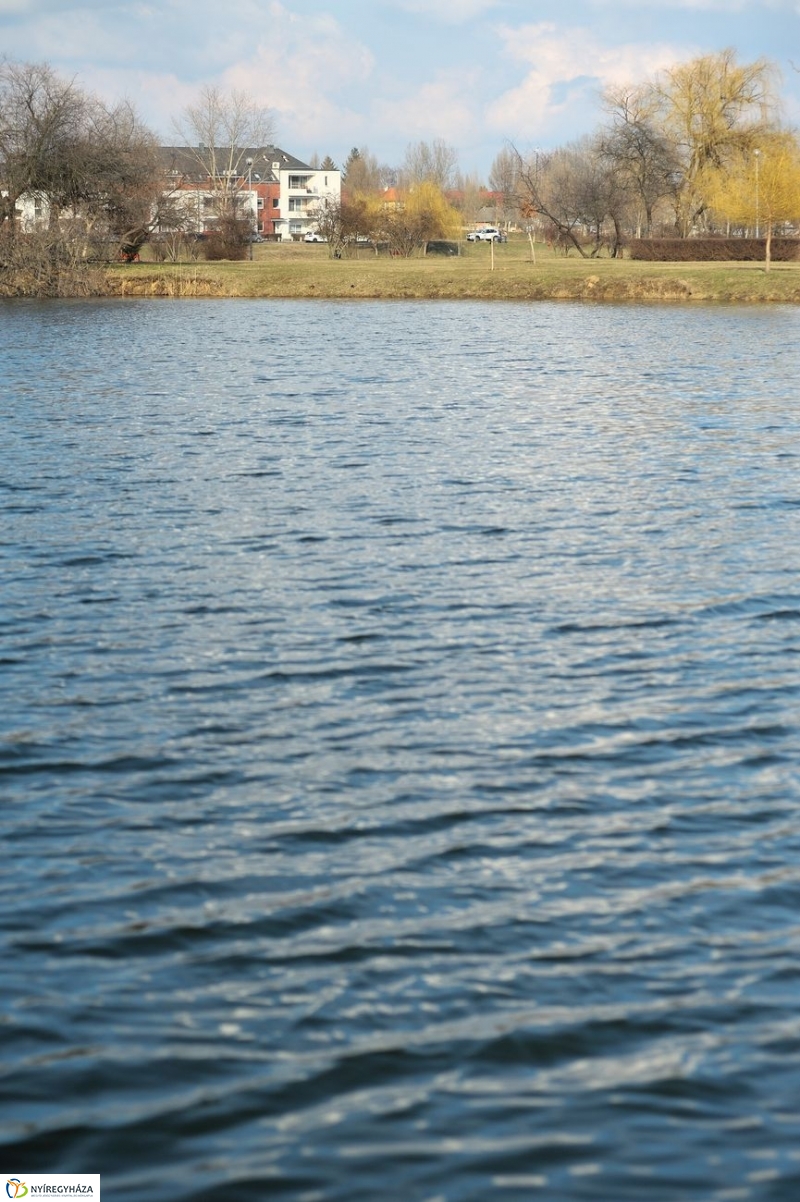 Kora tavasz a Bujtoson - fotó Szarka Lajos