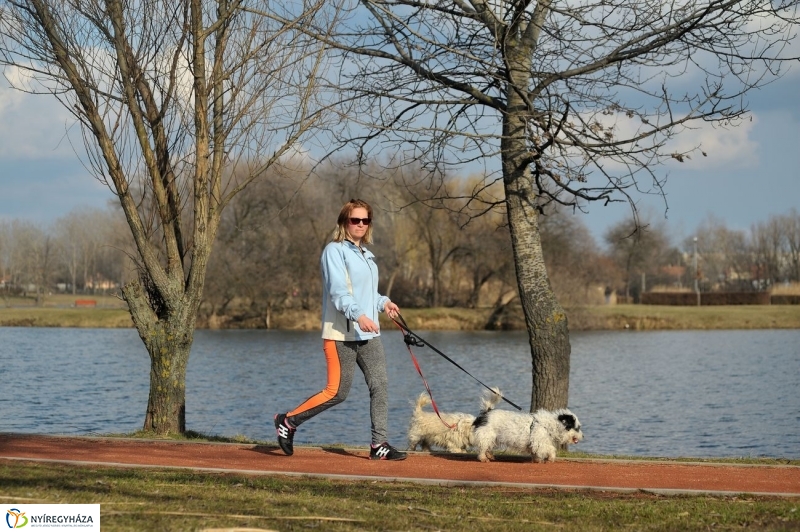 Kora tavasz a Bujtoson - fotó Szarka Lajos