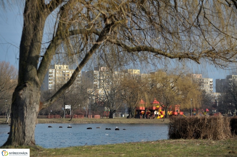 Kora tavasz a Bujtoson - fotó Szarka Lajos
