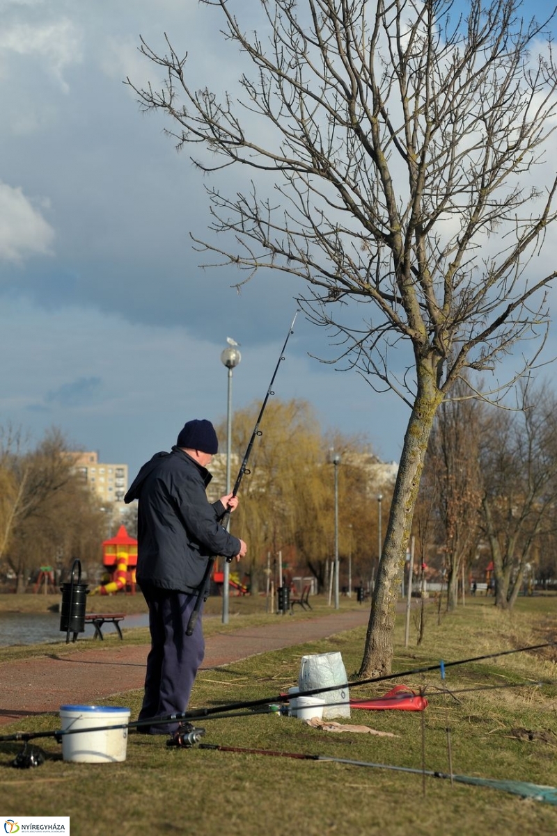 Kora tavasz a Bujtoson - fotó Szarka Lajos
