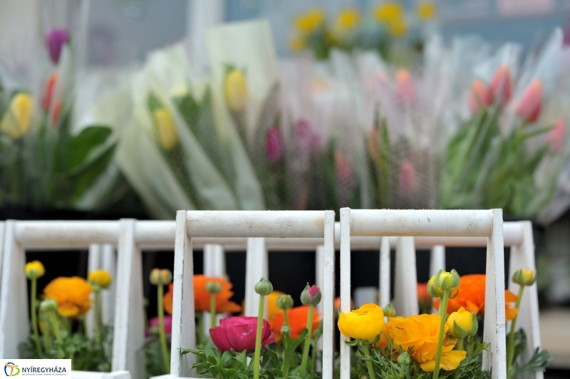 Nőnapra hangolva - fotó Szarka Lajos