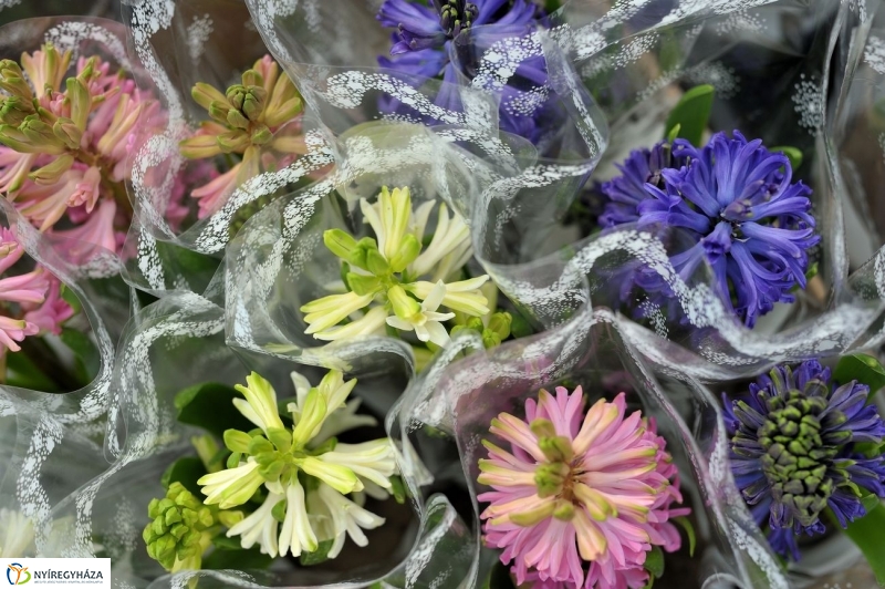 Nőnapra hangolva - fotó Szarka Lajos