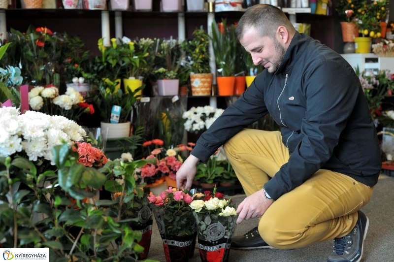 Nőnapra hangolva - fotó Szarka Lajos